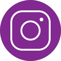 Instagram Follow Button